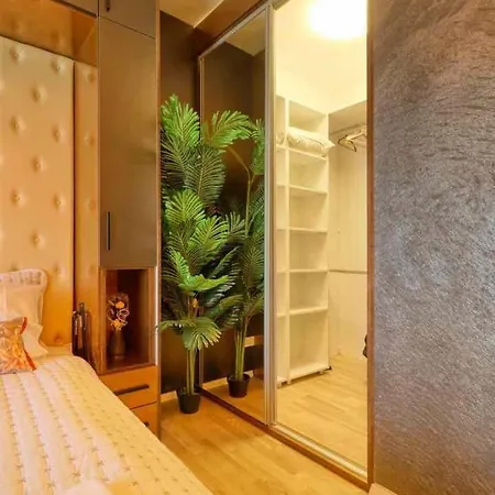 Modern Large In French Quarter Area 布加勒斯特